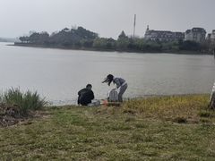 -九龙湖公园