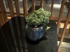 -浅深(北京北四环精品店)