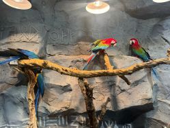 -Zoolung Zoolung动物主题公园(海信广场店)