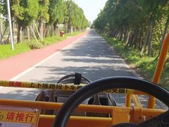 -上海长兴岛郊野公园