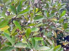 -侯臣咖啡文化村