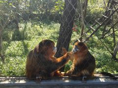 -哈尔滨北方森林动物园