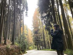 -山王坪喀斯特国家生态公园
