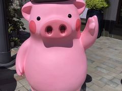 -迪士尼乐园停车场