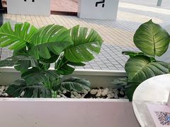 -树夏(金楠天街店)