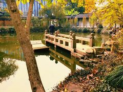 -上海醉白池公园