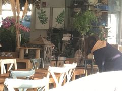 -吉丁鸟咖·异宠·寄养