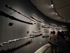 -中国美术学院-美术馆
