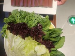 -蝎王府羊蝎子(虎坊桥总店)