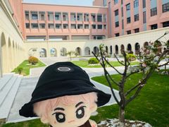-中加枫华国际学校