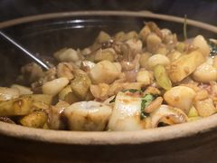 -三强鸽子(胜利路店)