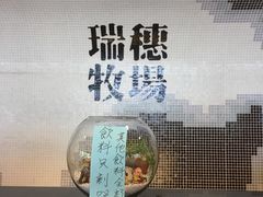 -瑞穗牧场