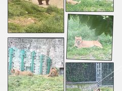 -西安秦岭野生动物园