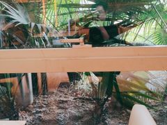 -平安银行深圳机场贵宾厅