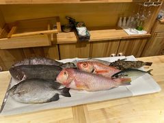 -镹·鱼料理  国产鱼使用店