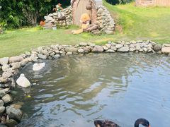 -HERRE·FARM 赫尔露营农场·团建聚会包场