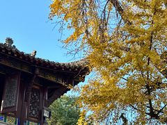 -长春观