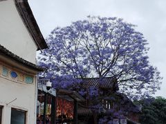 -巍山古城