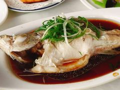 -云中小雅