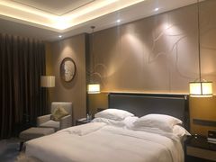 -重庆悦来温德姆酒店