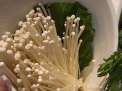 -同仁四季椰子鸡(福田东园总店)