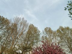 -石家庄市植物园