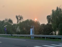 -西京湾花海