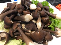 鸡枞菌-东椰·海南椰子鸡火锅(朝阳门店)