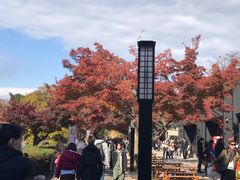 -名古屋城