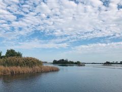 -贡湖湾湿地公园