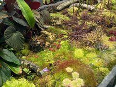 -国家植物园南园