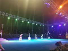 -渔家火锅·海鲜自助餐·演艺(亚龙湾天域酒店)