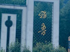 -雅鲁激流探险漂流