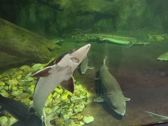 -福州罗源湾海洋世界旅游区