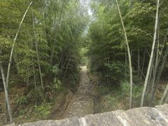 -仙霞关景区