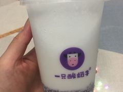 -一只酸奶牛(八一路店)