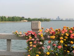 -望海·帆船主题咖啡厅•品茗下午茶(石湖景区店)