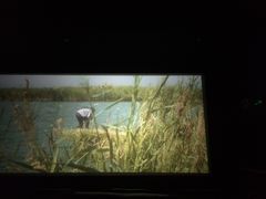 电影-中影佰纳国际影城DMAX(花都广百广场店)