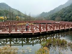 -广州市石门国家森林公园