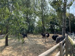 -大连森林动物园