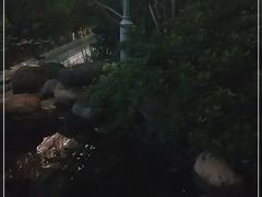 -活水公园