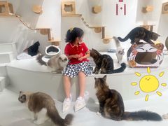 -COLOR PETS 撸猫馆·购猫·猫咖(长风大悦城店)