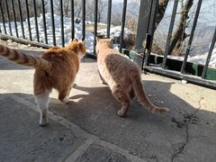 -终南山南五台景区