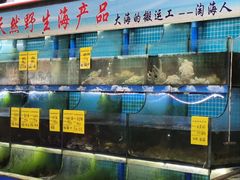 -坛南湾阿强农家乐.海鲜大排档老字号(福州地标美食店)