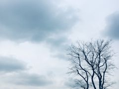 -穹窿山景区