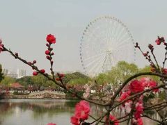 -无锡蠡湖国家湿地公园-蠡园