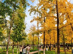 -汉长安城未央宫国家考古遗址公园