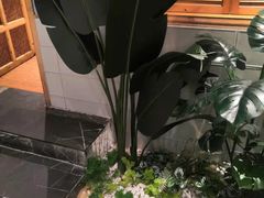 -春润大地海南椰子鸡(沙井京基百纳广场店)