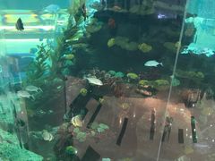 -鸿通城购物中心