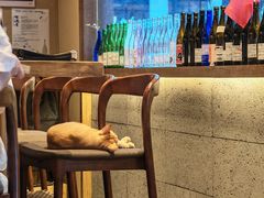 -大米·京都小酒馆·炭烧海鲜·烧鸟(龙口东路店)